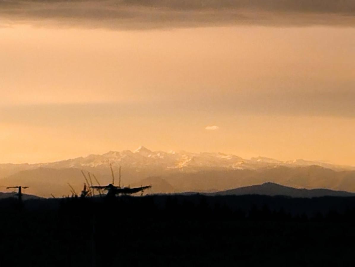 Appartement, Vue Sur Les Pyrenees Pouillon Exterior foto